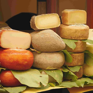 Самые популярные сорта итальянского сыра