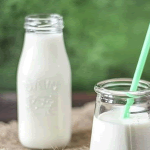 Молочное производство – выгода и риски